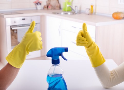 Professional home cleaner preparing a rental property for end of tenancy inspection