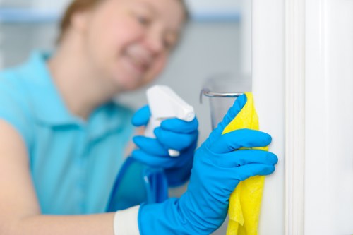 Trained cleaner carrying out a tenancy cleaning task safely