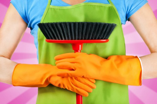 End of tenancy cleaning terms and conditions introduction