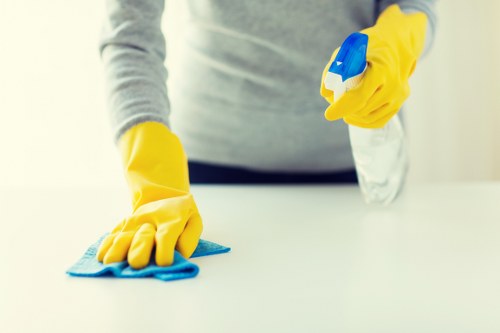 Cleaner separating materials for recycling before disposal