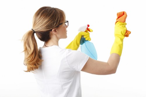 Deep carpet cleaning equipment used in a move-out clean for a flat or house