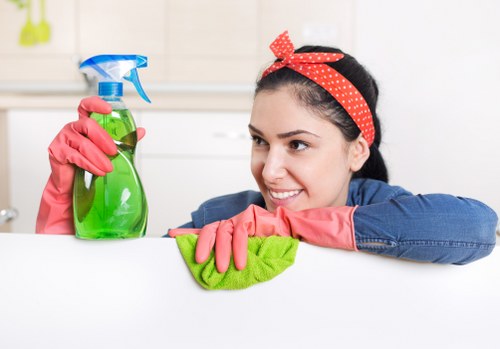 Checklist showing areas covered in an end of tenancy clean