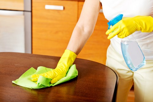 Deep cleaning an oven door and interior during a move-out service
